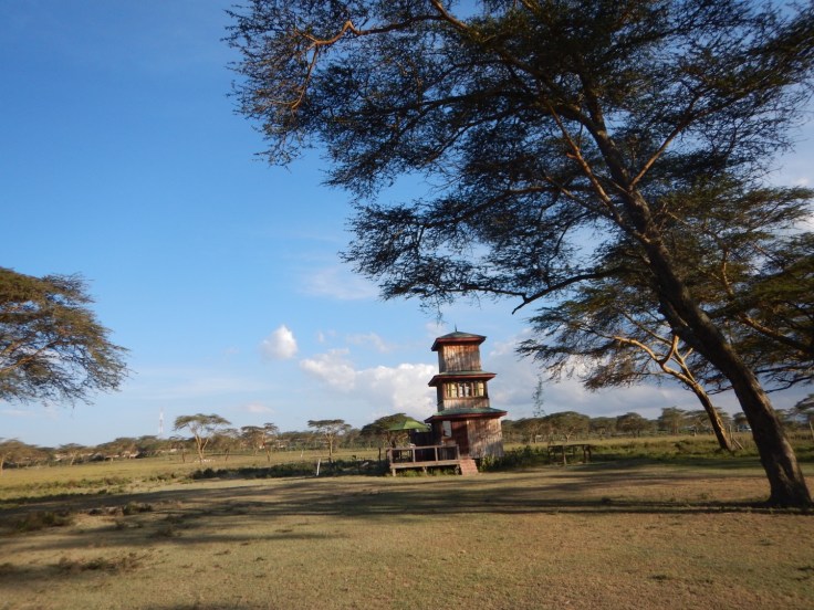 The perfect Lake Naivasha and Nakuru&nbsp;itinerary